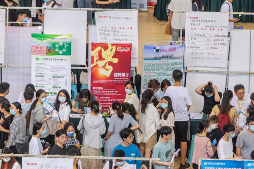 畢業(yè)生就業(yè)壓力加劇 河南啟動(dòng)長期未就業(yè)群體動(dòng)態(tài)清零計(jì)劃