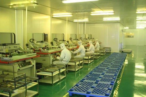 中共湛江市委十一屆十次全會工作報告要點 深化人力資源服務，規(guī)范職業(yè)中介活動，賦能高質(zhì)量發(fā)展